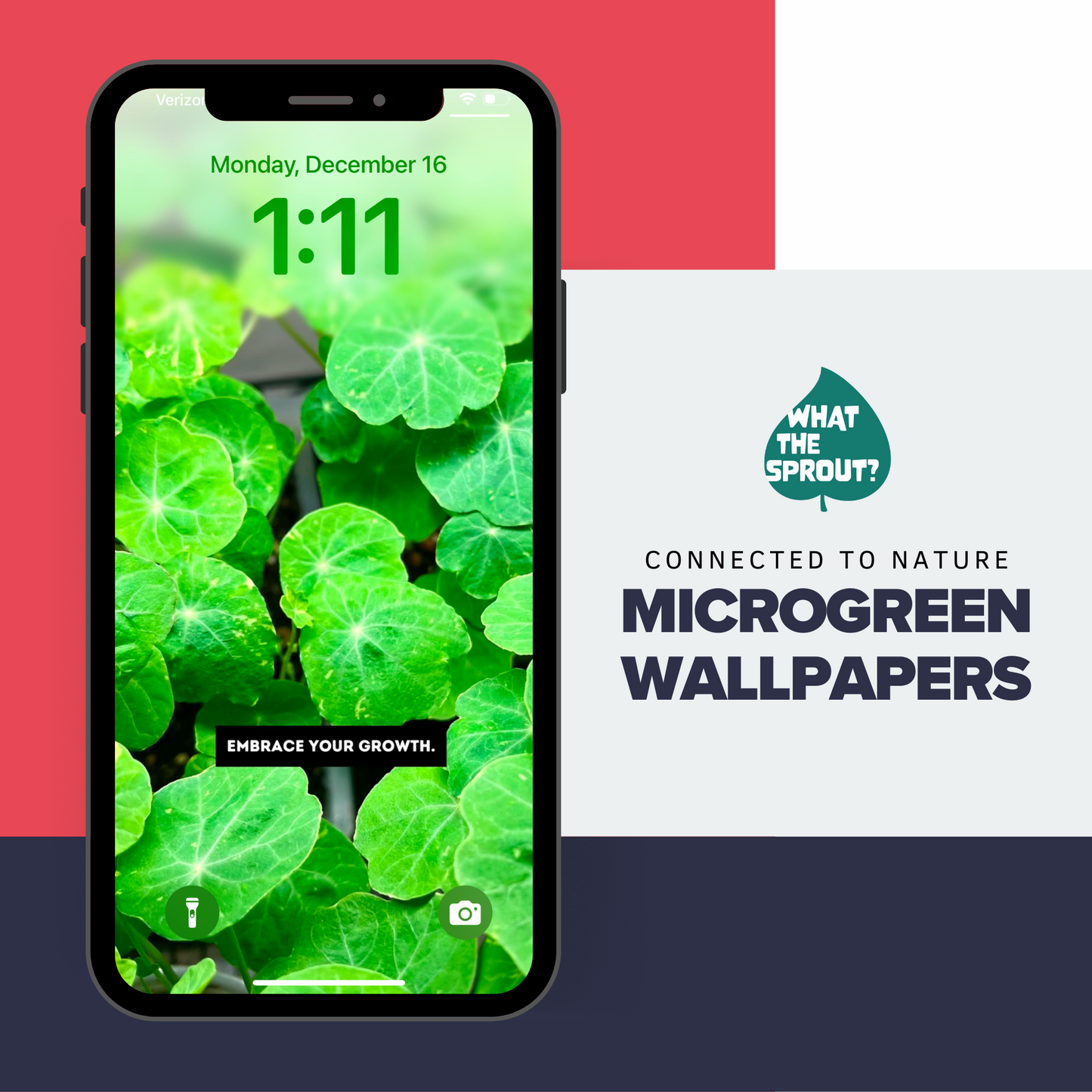 Sproutful Screens: Microgreen Wallpaper Sets