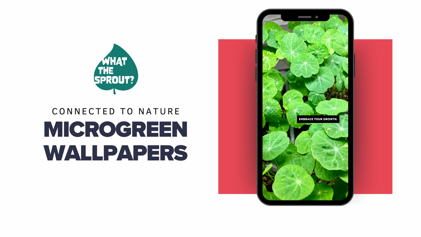 Microgreen Grow Kit Bundle – Everything You Need to Start Growing Fresh Greens at Home