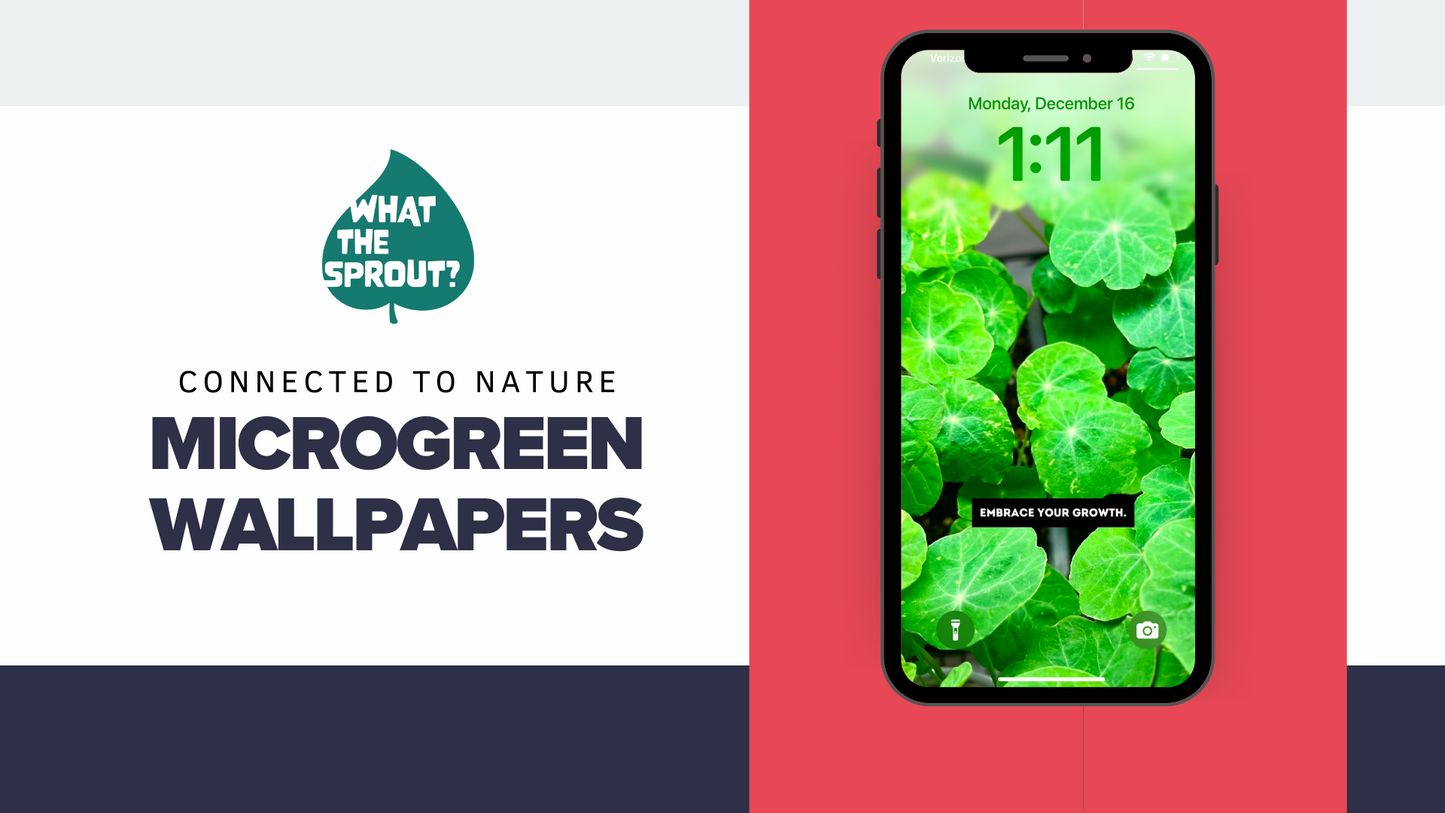 Sproutful Screens: Microgreen Wallpaper Sets