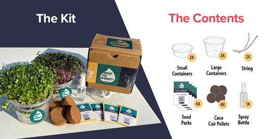 What the Sprout Microgreen Grow Kit – Self-Watering System